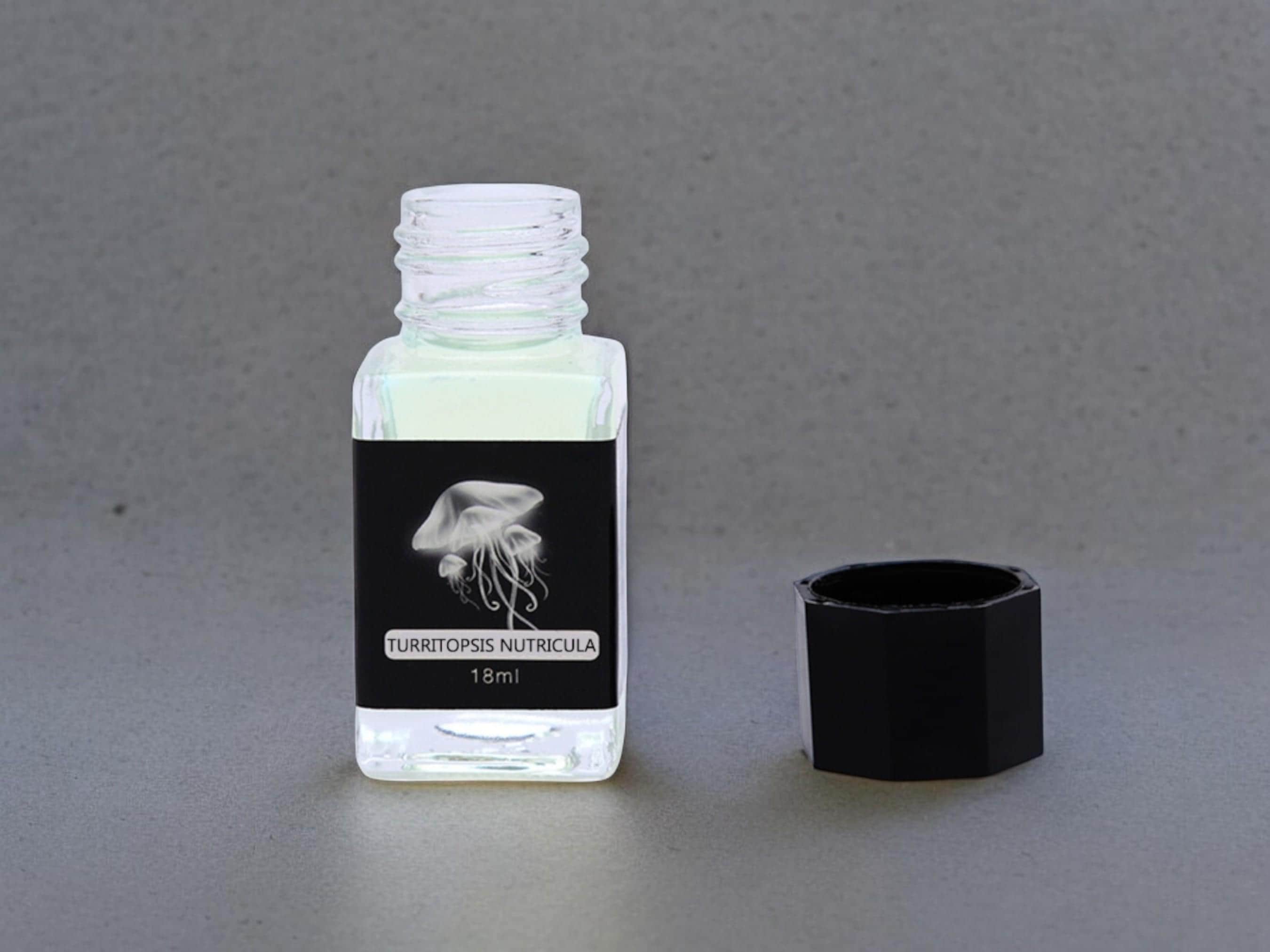 Fountain Pen Invisible Ink | Designed for Secret Message | UV