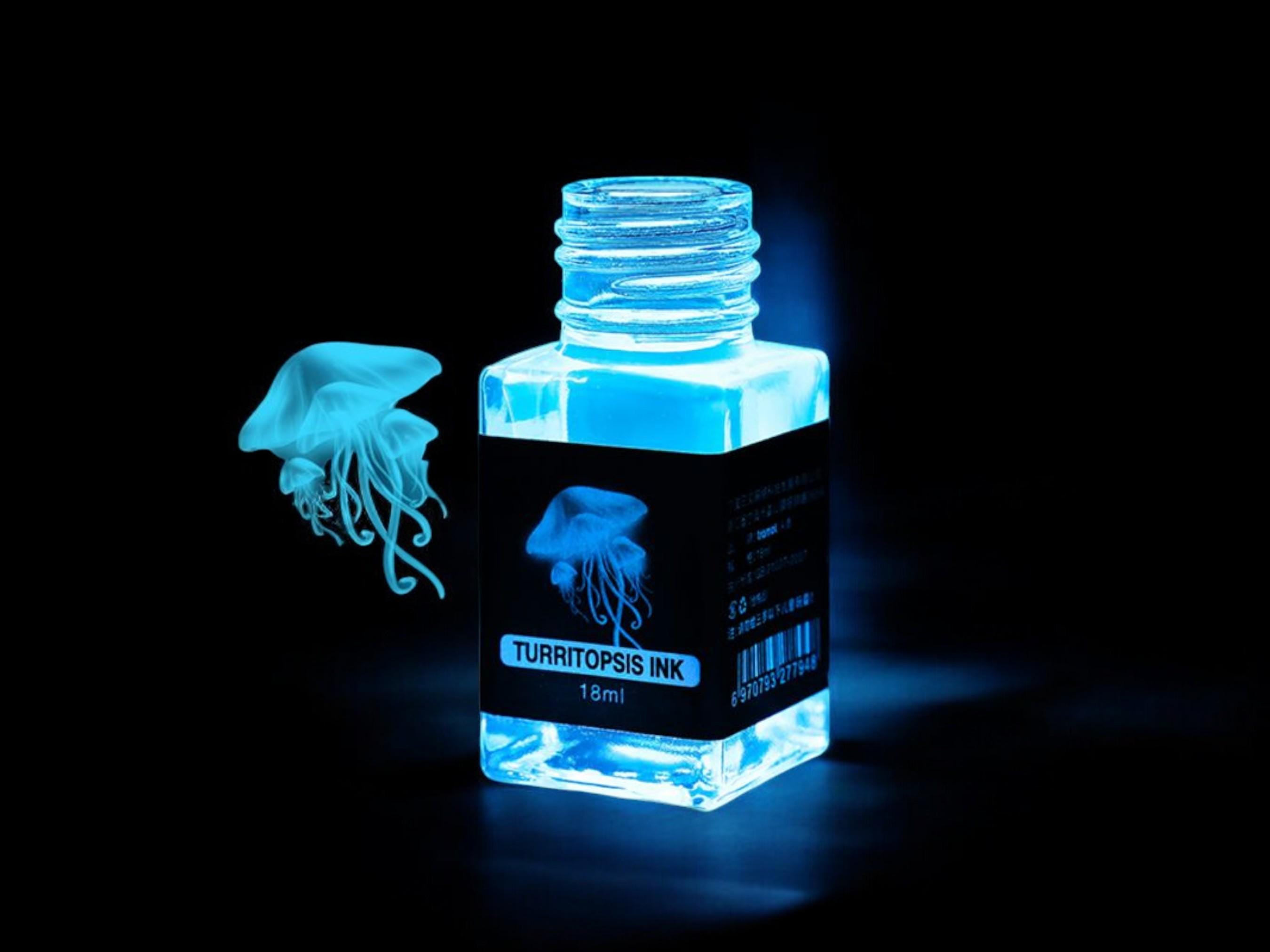 Fountain Pen Invisible Ink | Designed for Secret Message | UV