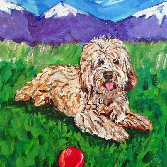 cockapoo painting