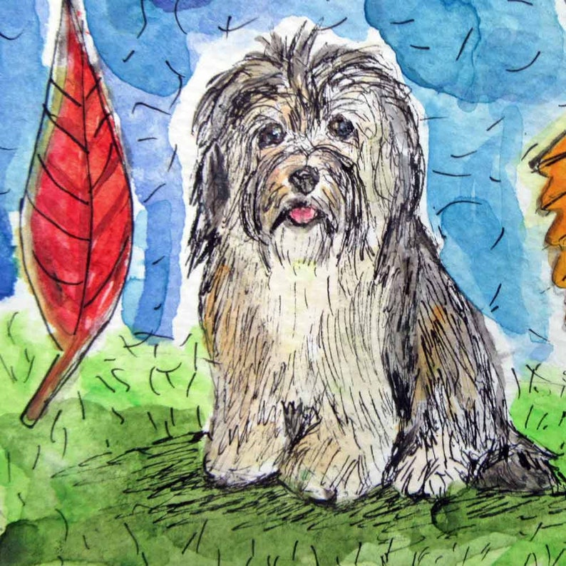 havanese gifts