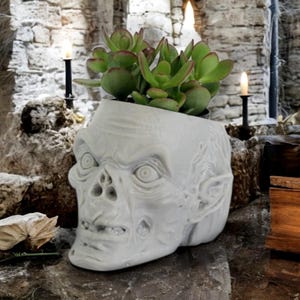 May include: A white ceramic planter shaped like a grotesque face with a succulent plant growing inside. The planter is sitting on a dark gray surface with candles and other decor.
