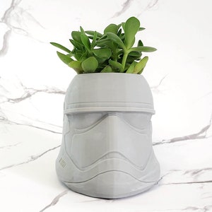 May include: A white Stormtrooper helmet planter with a small green succulent plant growing out of the top.