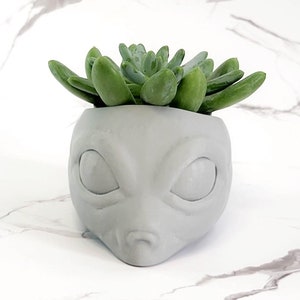May include: A gray alien-shaped planter with a succulent plant growing out of the top. The planter has large eyes and a small mouth.