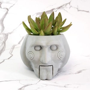 May include: A gray ceramic planter shaped like the head of a fictional character with a creepy smile and a spiral pattern on the cheeks. The planter is filled with a green succulent plant.