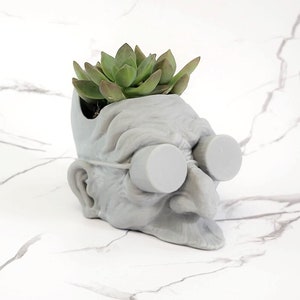 May include: A gray ceramic planter shaped like a person's head with glasses and a succulent plant growing inside.