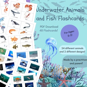 Underwater Animals and Fish Flashcards for Toddlers and Babies. Educational Resources for Preschool Children. Early Years Learning Resources