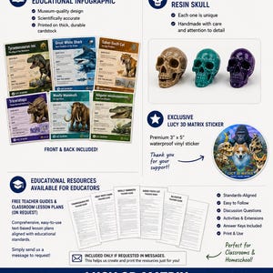 May include: An infographic titled WHAT'S INCLUDED WITH EVERY ORDER? featuring educational cards for Tyrannosaurus rex, Great White Shark, Saber-Tooth Cat, Triceratops, Woolly Mammoth, and Alligator, three resin skulls, and a 3" x 5" vinyl sticker.