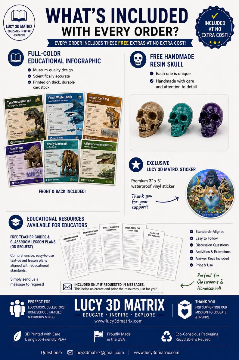 May include: An infographic titled WHAT'S INCLUDED WITH EVERY ORDER? featuring educational cards for Tyrannosaurus rex, Great White Shark, Saber-Tooth Cat, Triceratops, Woolly Mammoth, and Alligator, three resin skulls, and a 3" x 5" vinyl sticker.