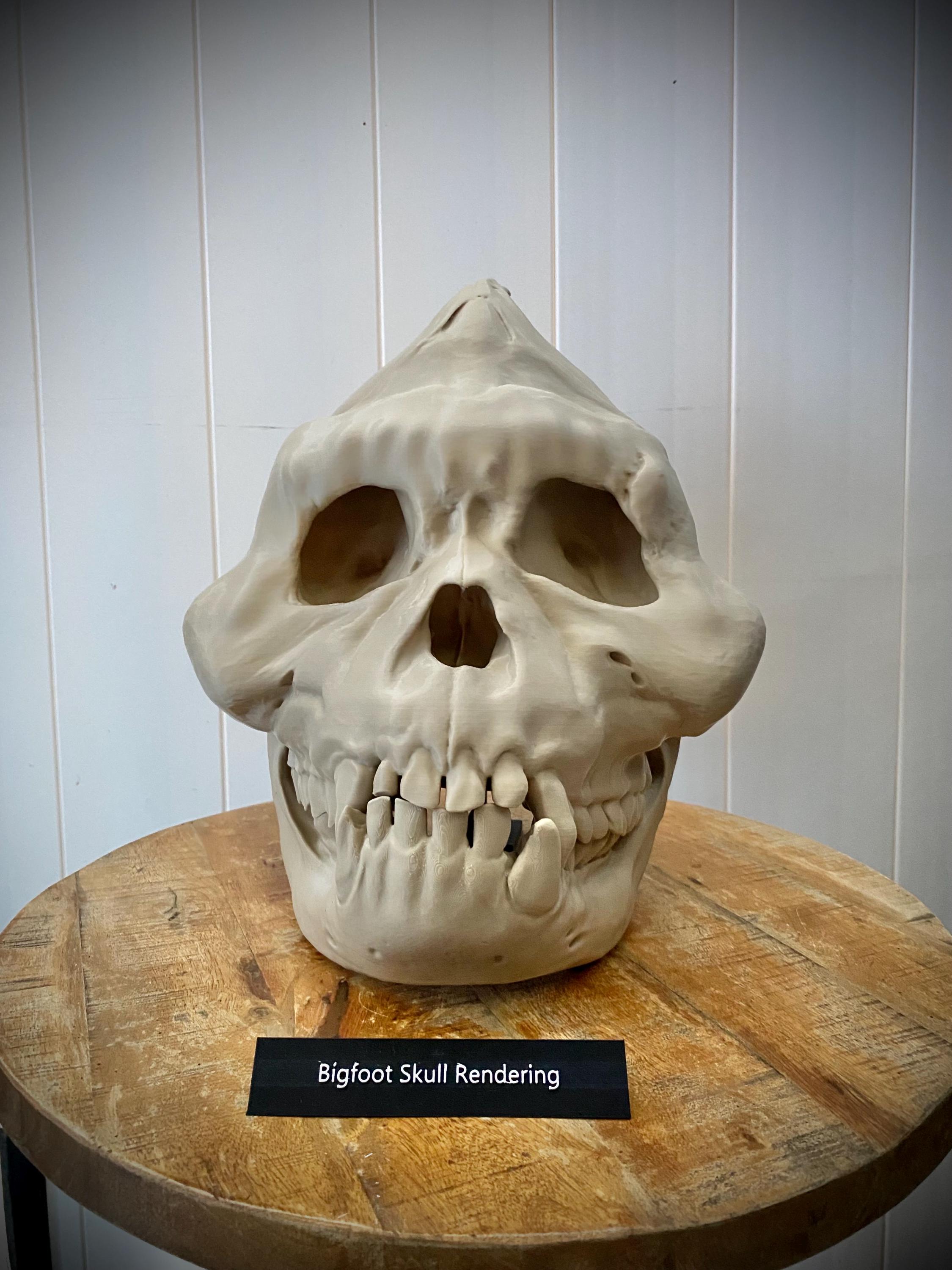 実物大ビッグフットの頭蓋骨レプリカ：3Dプリントされた未確認生物展示