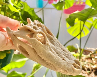 ワニの頭蓋骨のレプリカ：博物館品質の骨の装飾、3Dプリントの教育