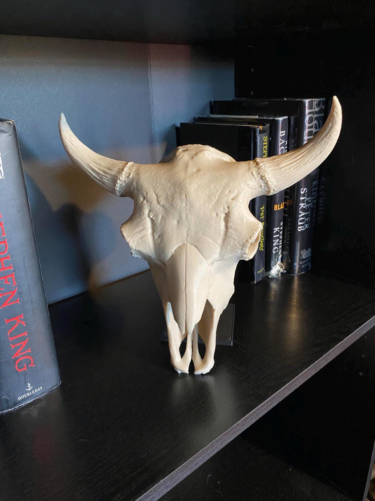 バイソンの頭蓋骨レプリカ：ウエスタンホームデコレーション - Etsy 日本