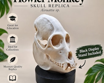 Howler Monkey Skull Replica: Life-Size 3D Print with Display Stand