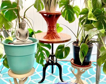 Rustic Tree Face Plant Stand: Boho Nature-Inspired Decor