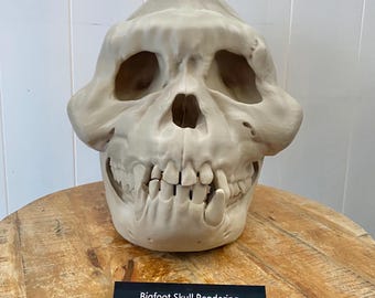 Life-size Bigfoot Skull Replica: 3D Printed Cryptid Exhibit Model