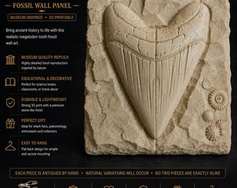 Megalodon Tooth Fossil Wall Art | 3D Printed Shark Tooth Replica | Museum Inspired Paleontology Decor | Educational Science Gift |
