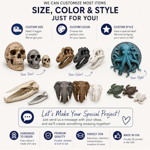 May include: A promotional graphic for Lucy 3D Matrix featuring text that reads CUSTOMIZE YOUR WAY and displays various 3D printed models including skulls, dinosaur fossils, an octopus, elephant heads, and sea turtles in different colors and sizes.