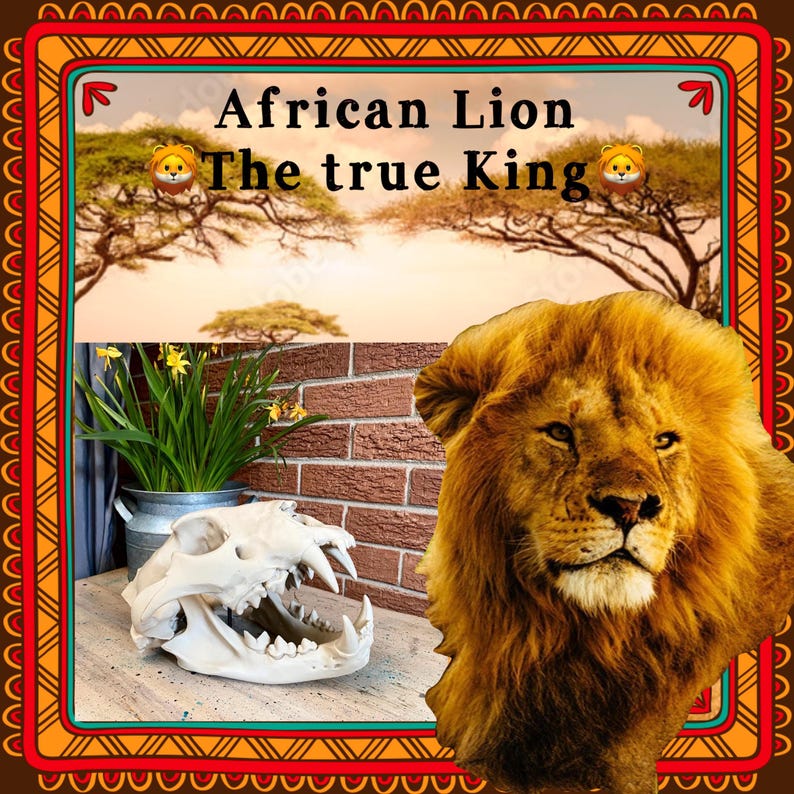 May include: A graphic design featuring a lion head, a white animal skull, and a potted plant against a brick wall background. The text reads African Lion The true King, accompanied by two lion face emojis, all framed by a decorative orange border.