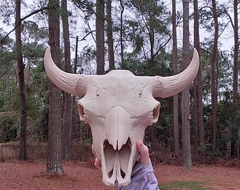 バイソンの頭蓋骨レプリカ：ウエスタンホームデコレーション - Etsy 日本