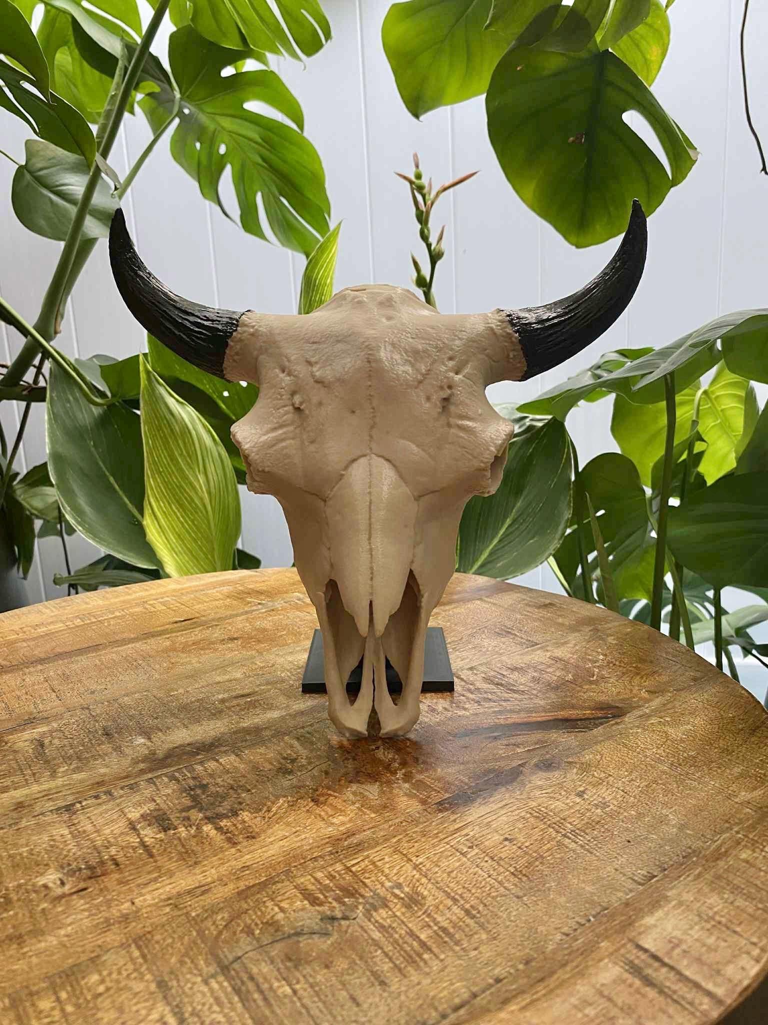 バイソンの頭蓋骨レプリカ：ウエスタンホームデコレーション - Etsy 日本
