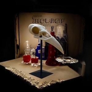 Raven Skull Replica: 3D Printed Anatomical Model with Display Stand