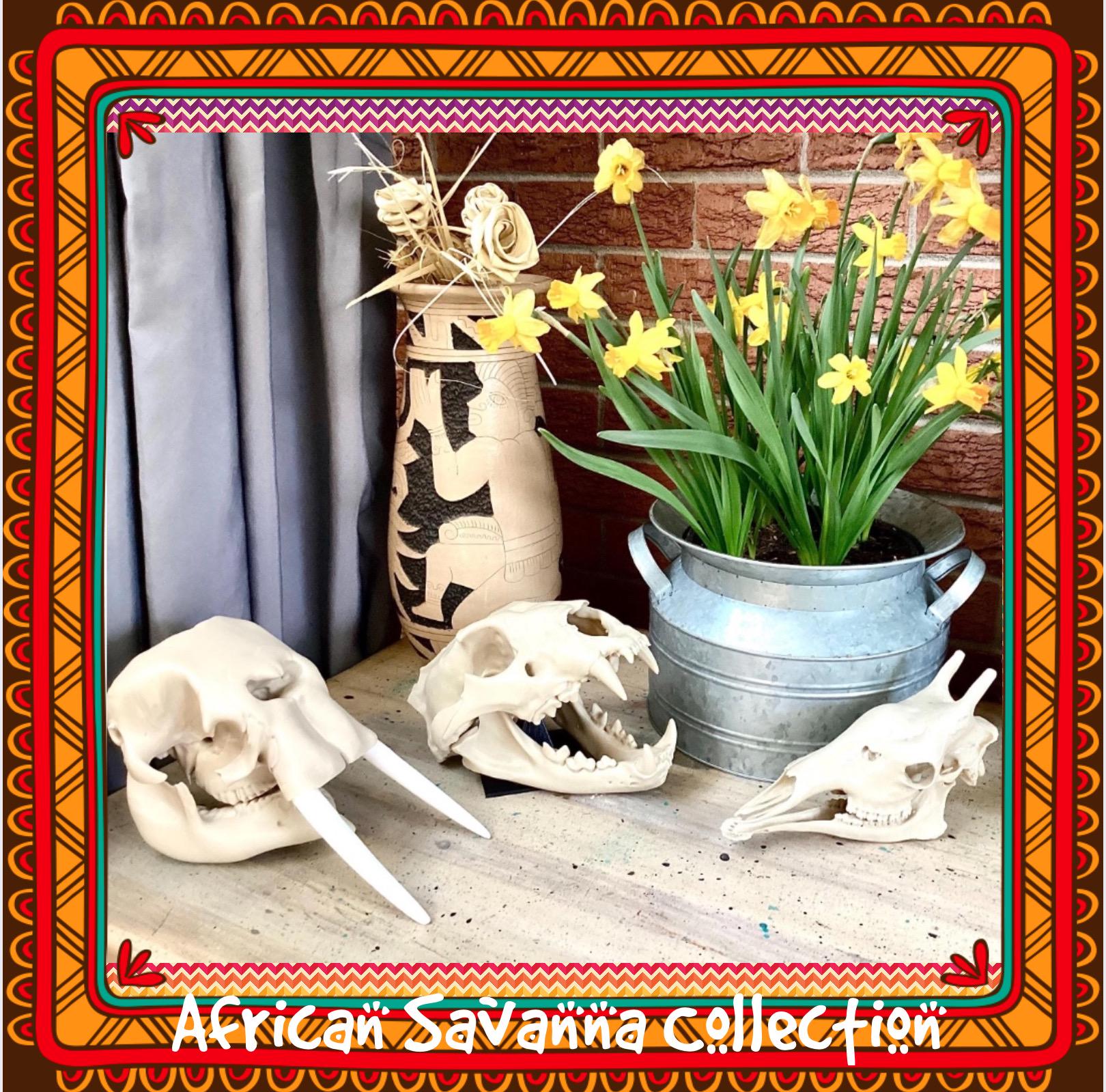 African Savanna Skull Replicas: Lion Elephant Giraffe 3d Printed