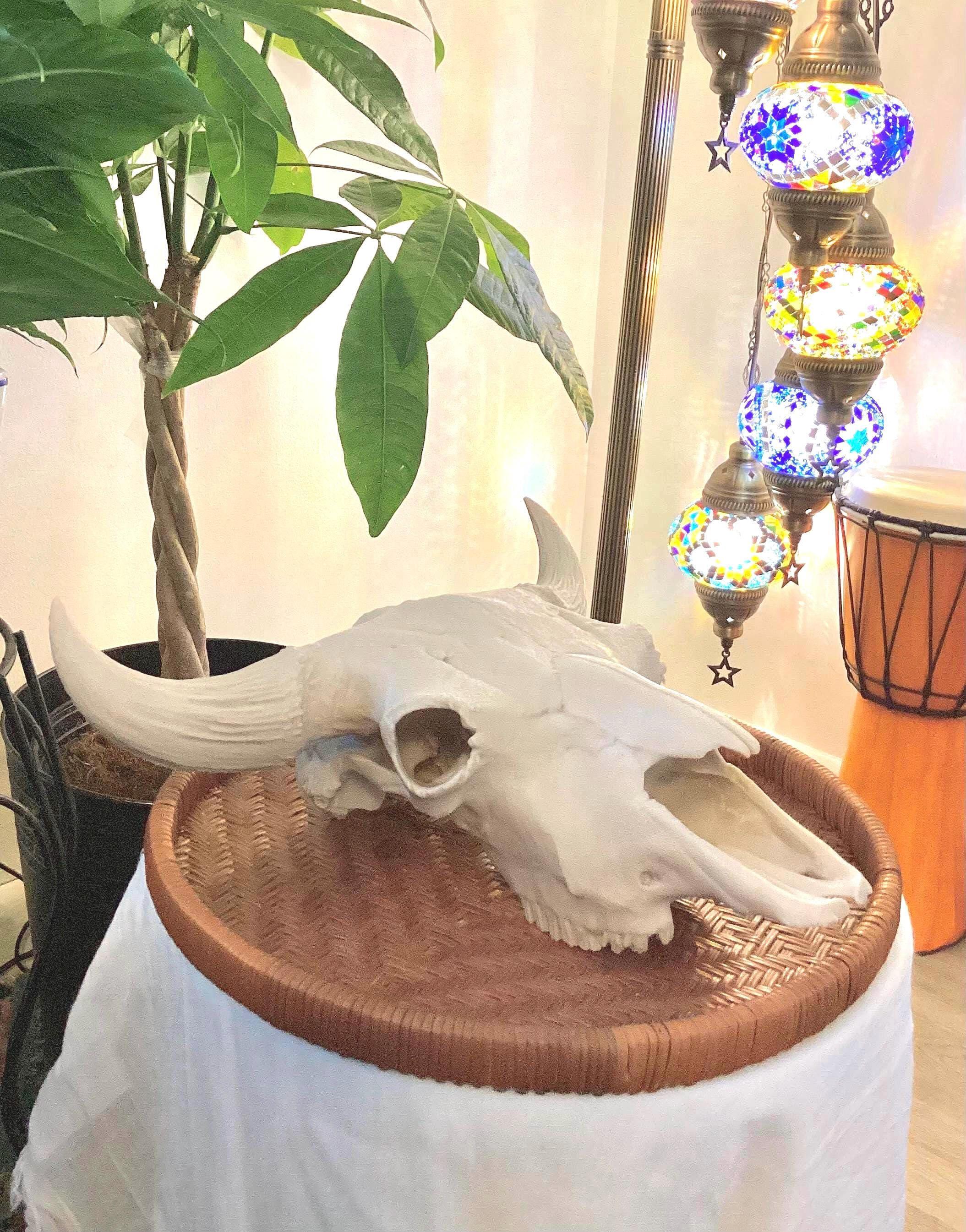 バイソンの頭蓋骨レプリカ：ウエスタンホームデコレーション - Etsy 日本