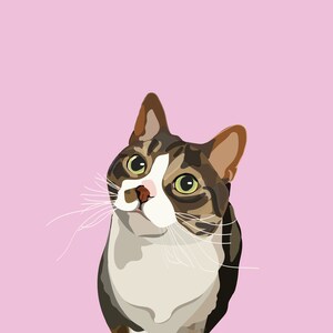 Illustrative drawings
