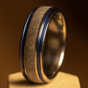 Meteorite with Twin Color Stripes Titanium Ring