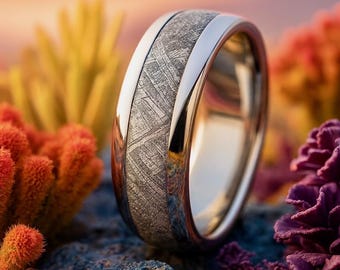 ギベオン隕石メンズリング、チタン製結婚指輪 - Etsy 日本