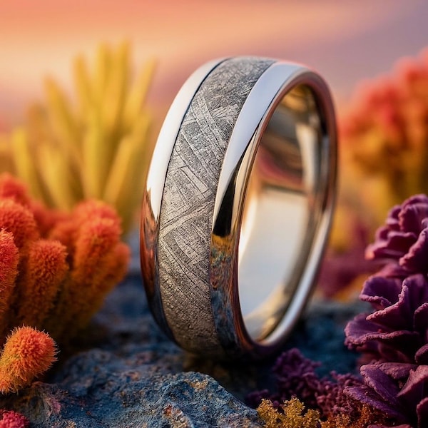 Gibeon Meteorite Ring: Custom Titanium Wedding Band with 4 Billion Year Old Inlay