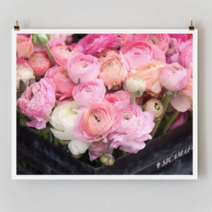 Paris Photography, Pink Ranunculus Large Art Print, Floral Wall Art, Landscape Fine Art Photography Paris Print, Girlfriend Gift image 1