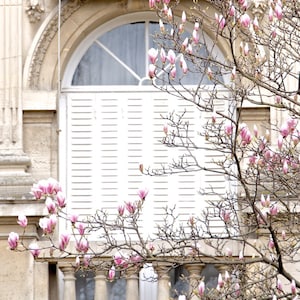 Paris Photography, “Magnolias&quot; Paris Print Extra Large Wall Art Prints, Paris Wall Decor, Gift for Her, Floral Mom Gift