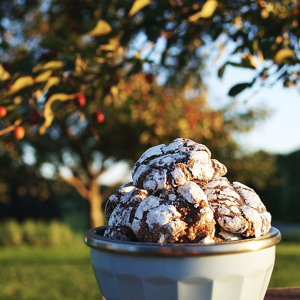 2 Dozen Cocoa Crinkles