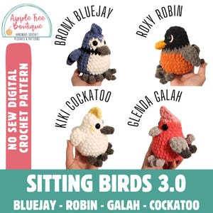 May include: Crochet patterns for four different sitting birds: a blue jay, a robin, a galah, and a cockatoo. The patterns are titled "Sitting Birds 3.0".