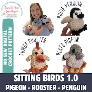 May include: A crochet pattern for three sitting birds: a rooster, a pigeon, and a penguin. The pattern is called "Sitting Birds 1.0" and includes the names of each bird: "Rowdy Rooster", "Plato Pigeon", and "Posie Penguin".