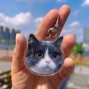 May include: A clear acrylic keychain featuring a close-up photo of a gray and white cat with large, round eyes. The keychain has a silver metal ring and hook.