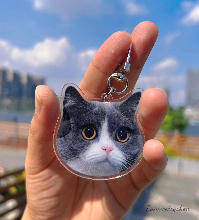 May include: A clear acrylic keychain featuring a close-up photo of a gray and white cat with large, round eyes. The keychain has a silver metal ring and hook.