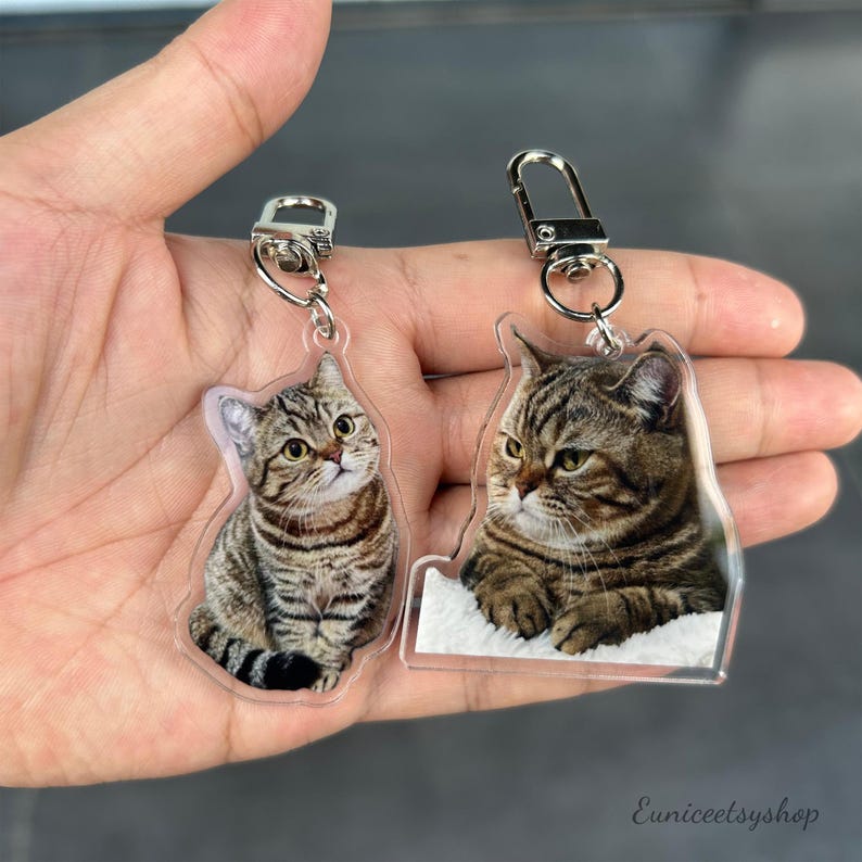 May include: Two clear acrylic keychains with images of tabby cats. One keychain features a cat sitting with its paws tucked in, while the other keychain features a cat lying down with its head resting on its paws. Both keychains have silver metal rings and clips.