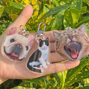 May include: Three clear plastic keychains with images of pets. The first keychain features a white and brown French bulldog, the second keychain features a black and white cat, and the third keychain features a brown tabby cat with its mouth open.