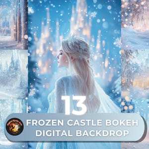 May include: A digital backdrop featuring a frozen castle with a bokeh effect. The backdrop is perfect for photographers and digital artists who want to create magical winter scenes. The backdrop includes 13 different images, each with a unique perspective of the castle.