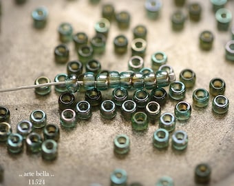 New .. LUSTERED OCEAN SEEDS .. 100 Premium Czech Glass Size 7/0 Seed Beads (11524-100) .. jewelry supplies