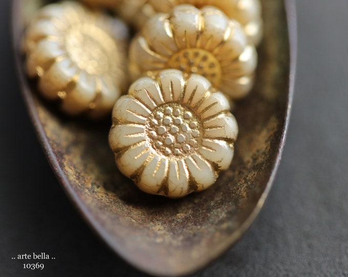 GOLDEN CREAM SUNFLOWERS .. New 6 Premium Czech Glass Flower Beads 13mm (10369-6)