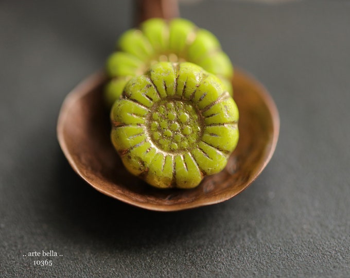 GOLDEN LIME SUNFLOWERS .. New 6 Premium Czech Glass Flower Beads 13mm (10365-6)