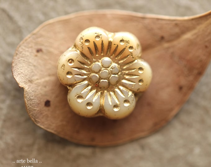 premium glass beads .. GOLDEN CREAM ROSES .. New 6 Czech Glass Wild Rose Beads 14mm (11157-6) .. jewelry making supplies