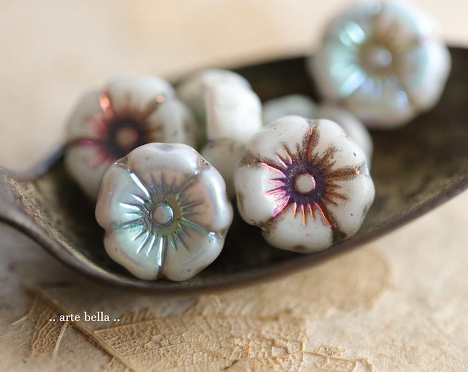 MYSTIC MAJESTIC PANSY .. 6 Premium Czech Glass Hibiscus Flower Beads 12mm (9785-6)