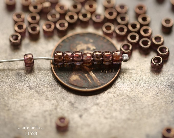 New .. BRONZED PLUM SEEDS .. 100 Premium Czech Glass Size 7/0 Seed Beads (11523-100) .. jewelry supplies