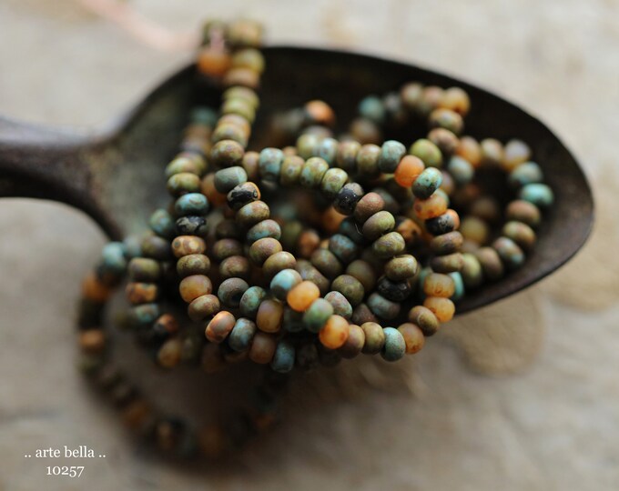 EARTHY DESERT SEEDS No. 10257 .. New 20" Premium Matte Picasso Czech Glass Aged Striped Seed Bead Mix Size 8/0 (10257-st)