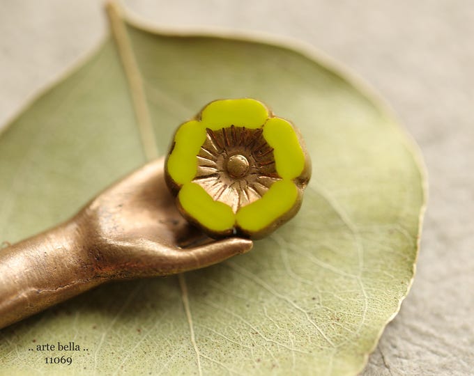 BRONZED CHARTREUSE BLOOMS .. New 6 Premium Czech Glass Hibiscus Flower Beads 12mm (11069-6) .. jewelry supplies
