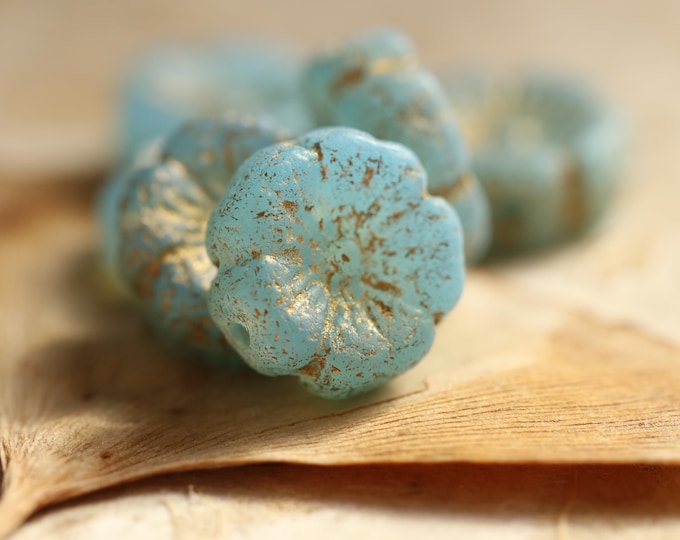 GOLDEN SKY BLOOMS .. 12 Premium Etched Czech Glass Hibiscus Flower Beads 12mm (9040-st) .. jewelry supplies