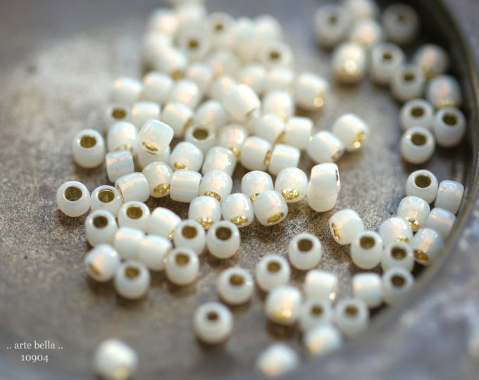 GLOWING MOON SEEDS .. New 100 Japanese Toho Glass Seed Bead Size 6/0 (10904-100) .. jewelry supplies